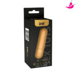 Mini Bullet Dourado Intt