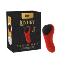 Pleasure Panty Intt - Vibrador de Calcinha 9 Modos e Controle Remoto Pleasure Panty Intt - Vibrador de Calcinha 9 Modos e Controle Remoto